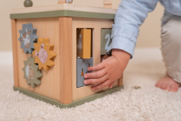 Activity Cube Little Farm FSC